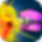 Elemental-Box-Defense-icon.png
